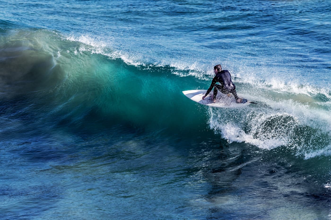 Surfboards lined up on the sand